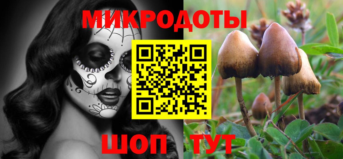 Галлюциногенные грибы мицелий  Галлюциногенные грибы прущие грибы  Новороссийск  Вход с VPN 